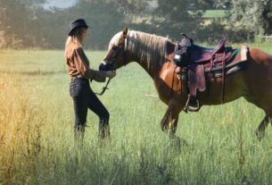 5 Different Horse Breeds and Their Characteristics for Farms